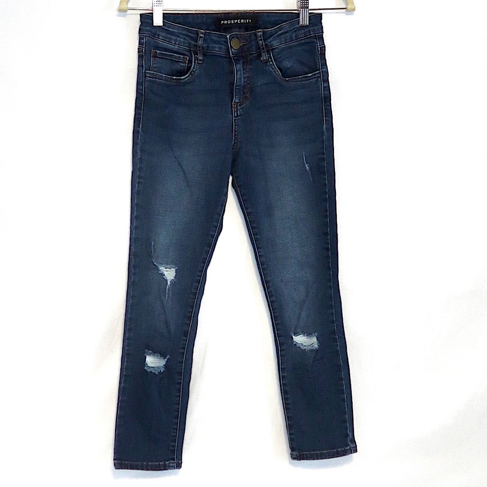 Prosperity Denim Distressed Skinny Jeans-cropped